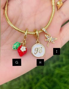 Mix and Match Charms & Bracelets