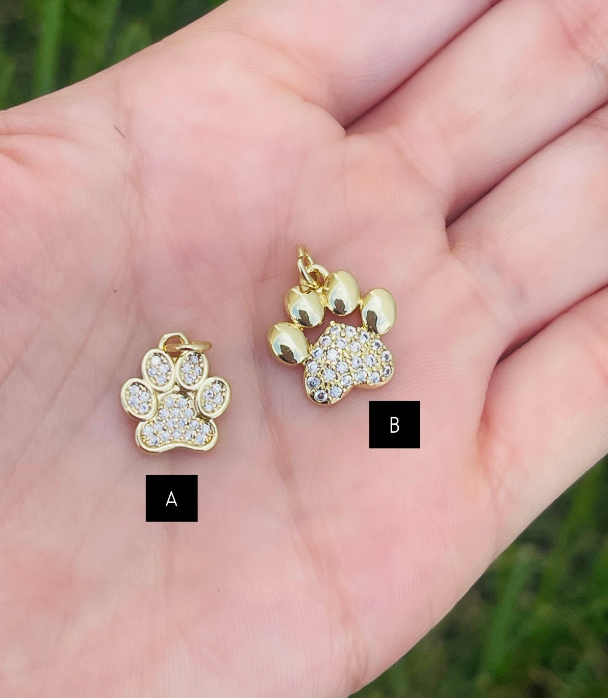Bright Paw Charms