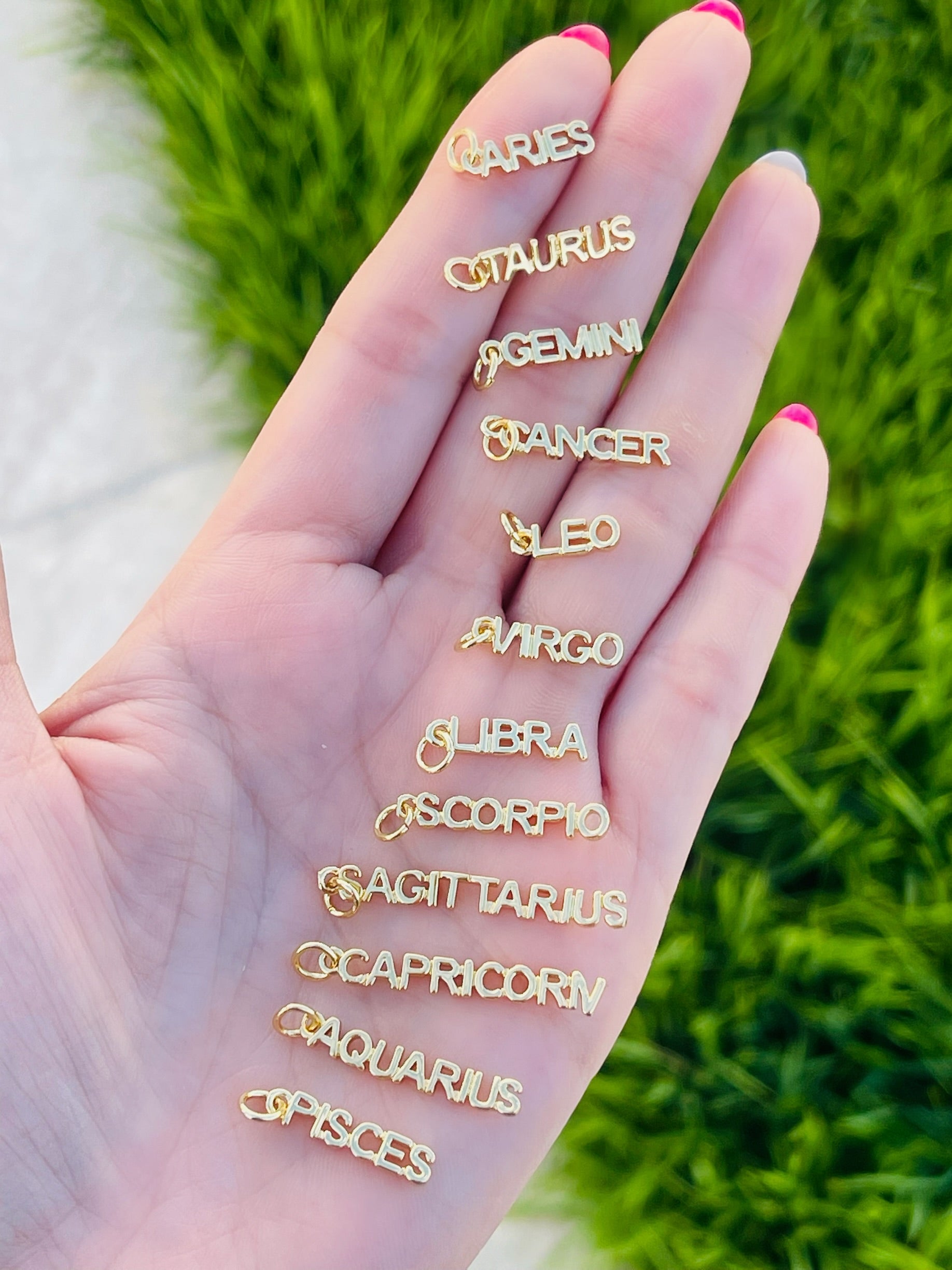 Zodiac Sign Charm