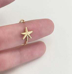 Star 2.0